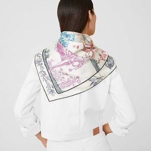Hermès Della Cavalleria Favolosa Double Face Scarf
